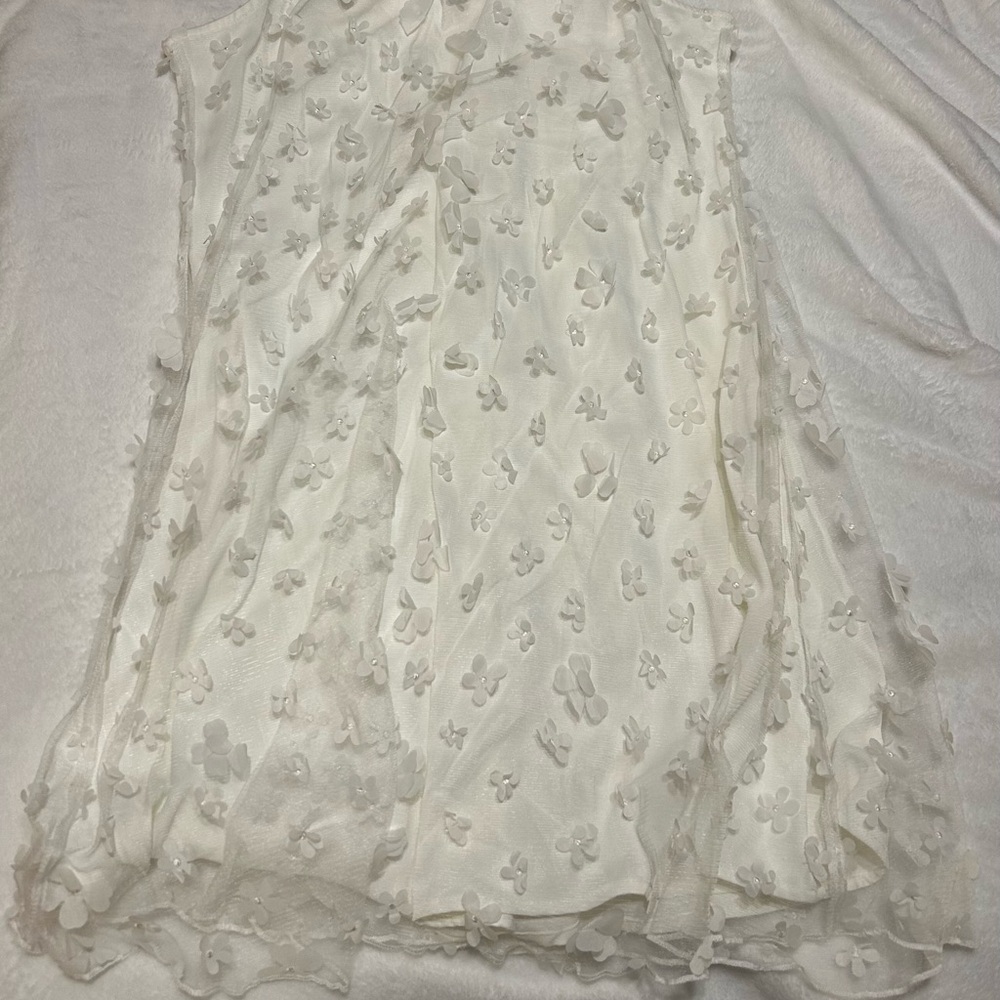 Ivory Floral Appliqué Mesh Dress